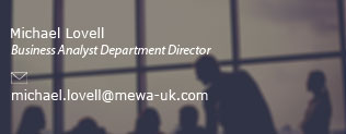 michael lovell business analyst department director